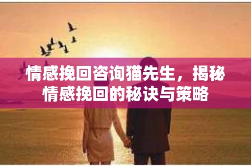 情感挽回咨询猫先生，揭秘情感挽回的秘诀与策略