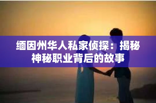 缅因州华人私家侦探：揭秘神秘职业背后的故事