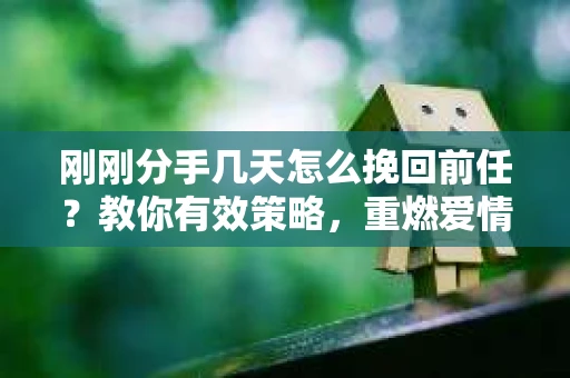 刚刚分手几天怎么挽回前任?教你有效策略,重燃爱情火花 刚刚分手几天怎么挽回前任?教你有效策略,重燃爱情火花