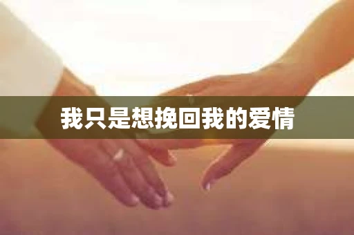 我只是想挽回我的爱情