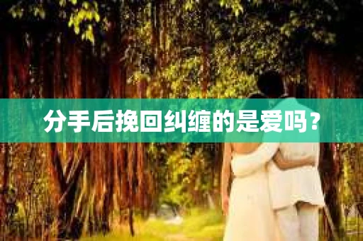 分手后挽回纠缠的是爱吗？