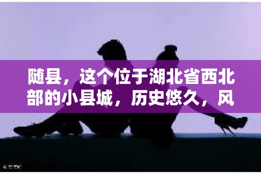 随县，这个位于湖北省西北部的小县城，历史悠久，风景秀丽。但在这里，你是否曾想过，如果需要私家侦探的帮助，随县有没有这样的服务呢？今天，我就来和大家聊聊这个话题。