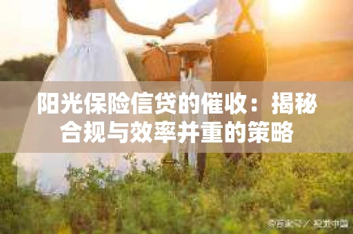 阳光保险信贷的催收：揭秘合规与效率并重的策略