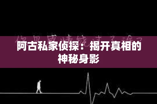 阿古私家侦探：揭开真相的神秘身影