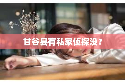 甘谷县有私家侦探没？