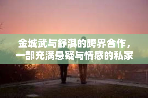 金城武与舒淇的跨界合作，一部充满悬疑与情感的私家侦探电影