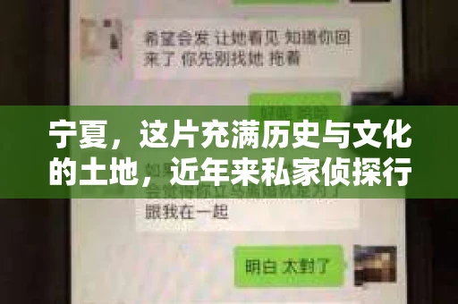 宁夏，这片充满历史与文化的土地，近年来私家侦探行业也逐渐兴起。对于许多人来说，选择一家正规、专业的私家侦探机构，无疑是一件至关重要的事情。那么，宁夏有哪些正规的私家侦探机构呢？下面，我就来为大家盘点一下宁夏正规私家侦探机构排名。