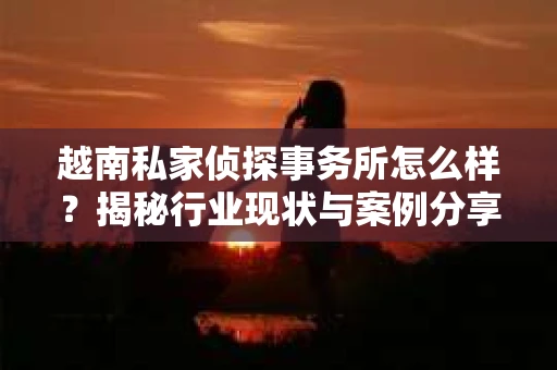 越南私家侦探事务所怎么样？揭秘行业现状与案例分享