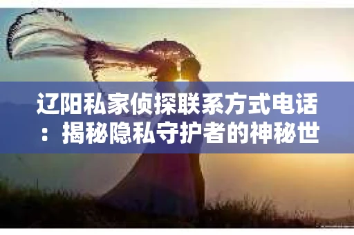 辽阳私家侦探联系方式电话：揭秘隐私守护者的神秘世界