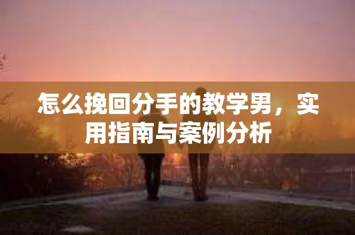 怎么挽回分手的教学男，实用指南与案例分析