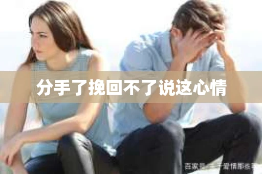 分手了挽回不了说这心情