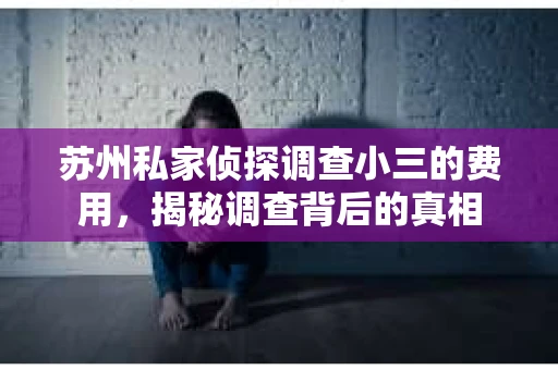 苏州私家侦探调查小三的费用，揭秘调查背后的真相