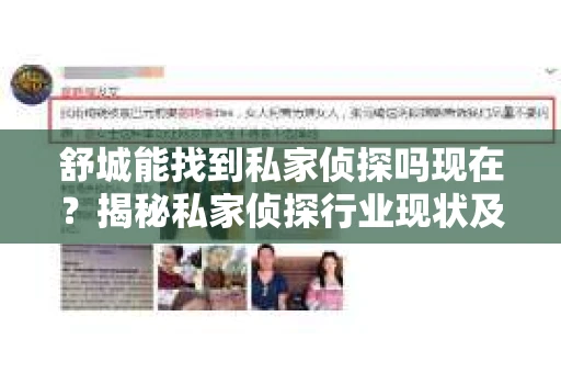 舒城能找到私家侦探吗现在？揭秘私家侦探行业现状及服务内容