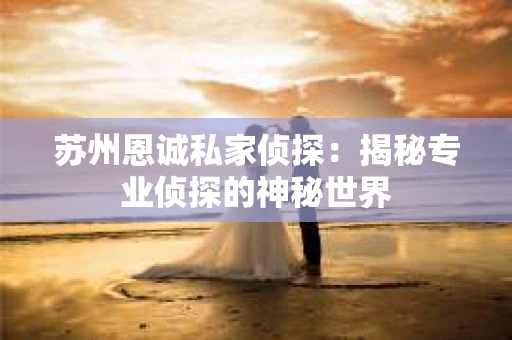 苏州恩诚私家侦探：揭秘专业侦探的神秘世界