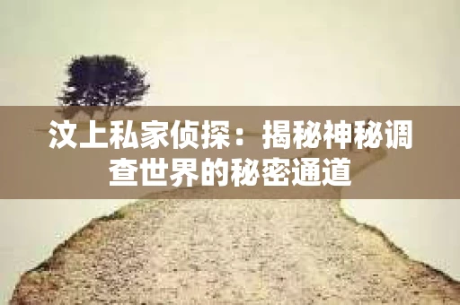 汶上私家侦探：揭秘神秘调查世界的秘密通道
