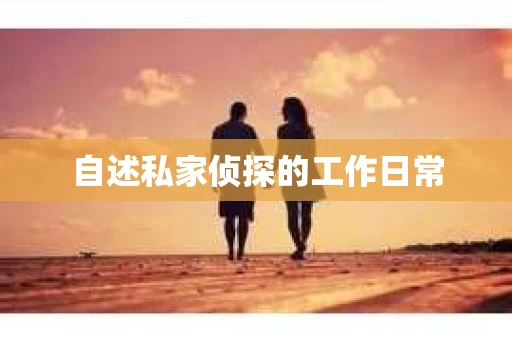 自述私家侦探的工作日常