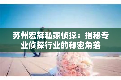 苏州宏辉私家侦探：揭秘专业侦探行业的秘密角落